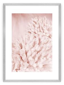 Plakat Pastel Pink II