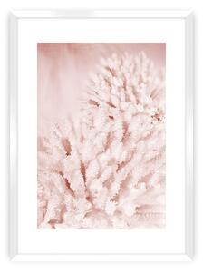 Plakat Pastel Pink II