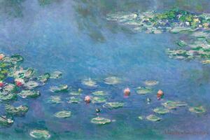 Plakat, Obraz Claude Monet - Waterlillies