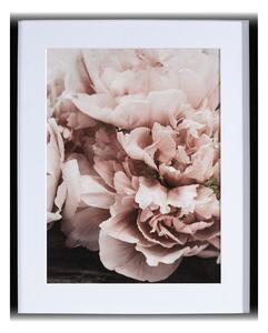 Obraz Peony Sunset I 40x50cm