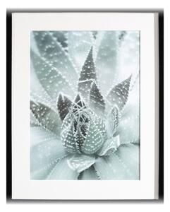 Obraz Succulents III 40x50cm