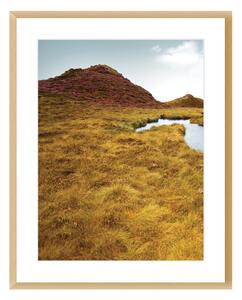 Obraz Grassy Field I 40x50cm