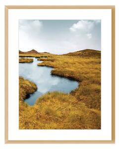 Obraz Grassy Field II 40x50cm