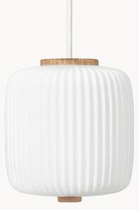 Lampa wisząca z dmuchanego szkła opalowego EK61