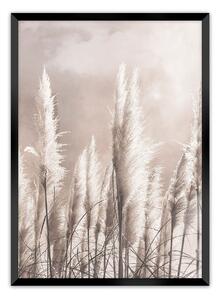 Obraz Grass