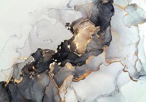 Obraz na płótnie Black&Gold Abstraction