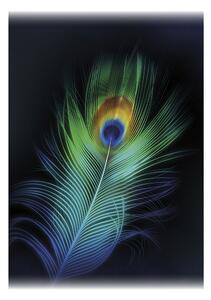 Obraz na płótnie Peacock Eye