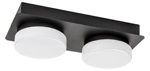 Rabalux Rabalux 75002 - LED sufitowa lampa łazienkowa ATTICHUS 2xLED/5,5W/230V IP44 RL75002