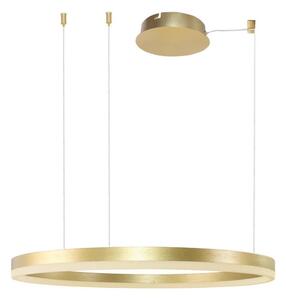 Azzardo Azzardo AZ4961 - LED ściemnialny żyrandol na linkach HALO LED/56W/230V pr. 80 cm AZ4961