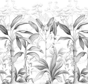 Tapeta do pokoju dziecka Rajska dżungla Black&White