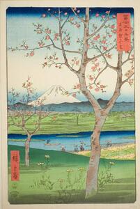 Reprodukcja Fuji, Ando or Utagawa Hiroshige