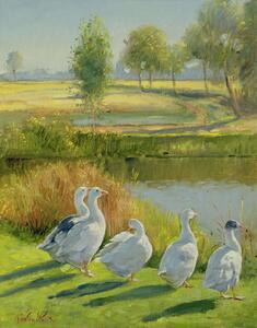 Reprodukcja Gooseguard, Timothy Easton