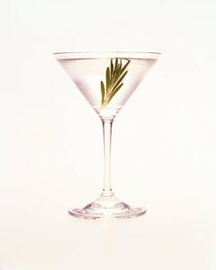 Fotografia Martini with sprig of rosemary, Jonathan Kantor Studio