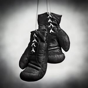 Fotografia Laced boxing gloves, SEAN GLADWELL