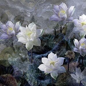 Tapeta Artystyczna Malumi Lotus Blossom - Dark - W Kwiaty Lotosu