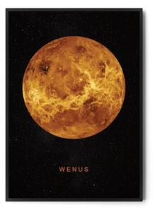 Plakat WENUS