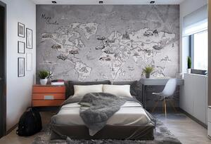 Tapeta TRIP MAP Grey – Mapa Świata do Pokoju Nastolatka