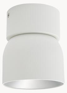 Lampa sufitowa z funkcją przyciemniania Pitcher