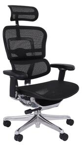 Ergonomiczny fotel biurowy Ergohuman Elite 2 BS Black - czarny nowoczesny fotel siatkowy
