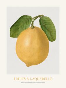 Reprodukcja Lemon Watercolour Kitchen Fruit