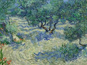 Reprodukcja Olive Orchard, Vincent van Gogh