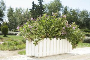 Gardenico Skrzynka Fency biały, 50 cm
