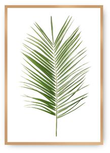 Plakat Palm Leaf Green