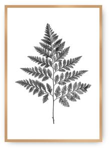 Plakat Fern Grey