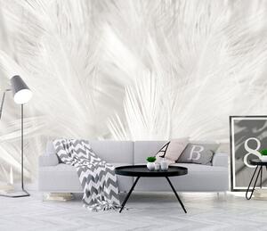 Fototapety Białe pióra, Fototapety pióra, u15622 : Uwalls.pl