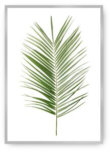 Plakat Palm Leaf Green