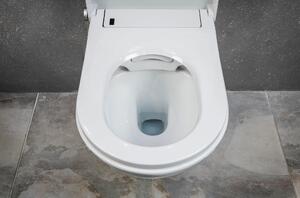 Zestaw WC 7: Toaleta myjąca bezkołnierzowa Basic 1102 - moduł sanitarny 805 czarny