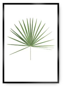 Plakat Tropical Leaf Green