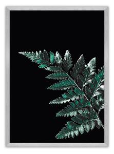 Plakat Dark Fern Leaf