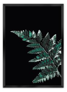 Plakat Dark Fern Leaf