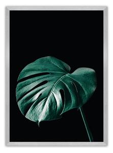 Plakat Dark Monstera