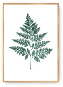 Plakat Fern Emerald Green