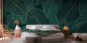 Fototapety Filodendron, Fototapety Las, Fototapety Las tropikalny, u73653 : Uwalls.pl