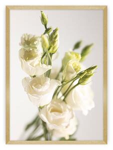 Plakat Elegant Flowers