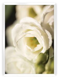 Plakat Flower Wall