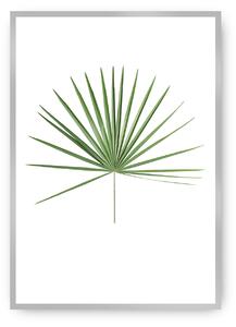 Plakat Tropical Leaf Green