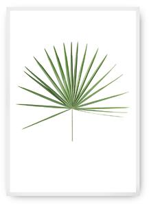 Plakat Tropical Leaf Green