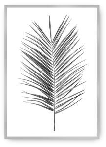 Plakat Palm Leaf Green