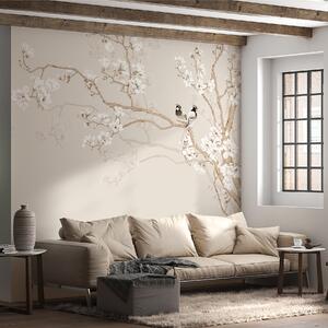 Fototapety Drzewo magnolii w ogrodzie, Fototapety Las, Fototapety Drzewa, u25842d1 : Uwalls.pl