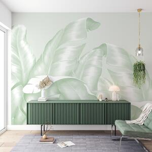Fototapety Klasyczne liście w zielonych kolorach o kwadratowym kształcie, Fototapety Las, Fototapety Las tropikalny, w00019d1v3 : Uwalls.pl