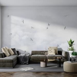 Fototapety Błękitne niebo z jaskółkami, Fototapety Zwierzęta, Fototapety Ptaki, w00526 : Uwalls.pl