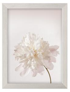 Obraz Peony III 18x24cm silver