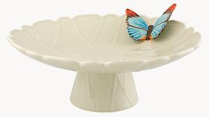 Patera Cloudy Butterflies