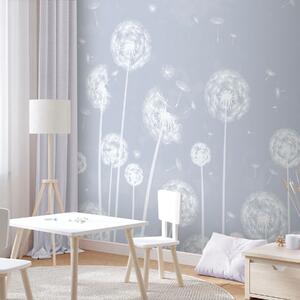 Fototapety Delikatne mlecze tańczące na wietrze, Fototapety Kwiaty, w00657v2 : Uwalls.pl