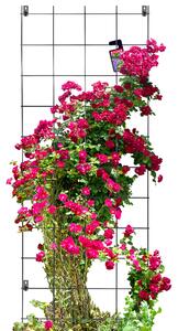 Pergola metalowa na kwiaty 170 x 65 cm