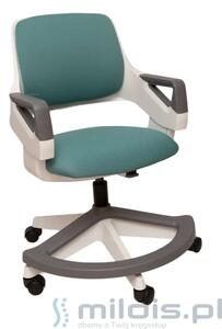 Krzesło ergonomiczne dla dziecka Rookee